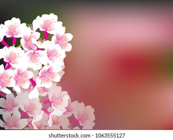 Hand drawn cherry blossom background design with copy space. EPS10 vector illustration.