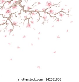 Hand drawn cherry blossom branch with flying petals.