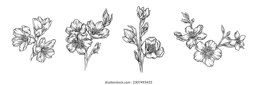 Hand Drawn Cherry Blossom Branches or Twigs Vector Set