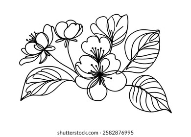 Hand drawn cherry blossom. Sakura branch with flower line art. Vector illustration