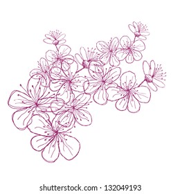 Hand Drawn Cherry Blossoms. EPS 8 vector, grouped for easy editing. No open shapes or paths.