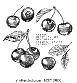Hand drawn cherry branch, leaf and berry. Engraved vector illustration. Bird berry, merry agriculture plant. Summer harvest, jam or mamalade vegan ingredient. Menu, package, cosmetic and food design