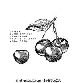 Hand drawn cherry branch, leaf and berry. Engraved vector illustration. Bird berry, merry agriculture plant. Summer harvest, jam or mamalade vegan ingredient. Menu, package, cosmetic and food design