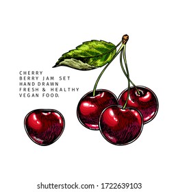 Handgezeichneter Kirschzweig, Blatt und Beeren. Farbige Vektorgrafik mit Gravur. Vogelbeerzuchtanlage. Sommerernte, Konfitüre oder Marmelade Vegan Zutat. Menü, Paket, Kosmetik, Lebensmitteldesign