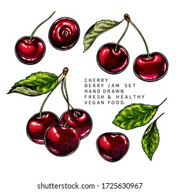 Rama de cerezo, hoja y baya dibujada a mano. Ilustración vectorial de color grabado. Planta agrícola de bayas de aves. Cosecha veraniega, mermelada o ingrediente vegano de mermelada. Menú, paquete, cosmética, diseño de alimentos