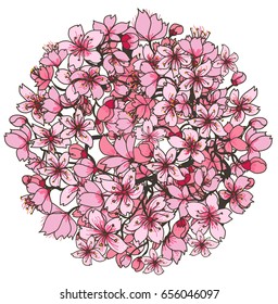 Hand drawn Cherry branches with flowers in circle, sakura vector illustration and coloring book