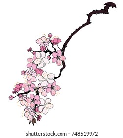 Hand drawn Cherry branches with flowers, Coloring book sakura isolate on white background.