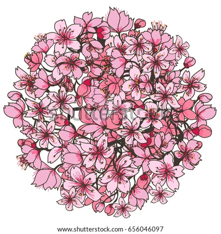 Hand drawn Cherry branches with flowers in circle, sakura vector illustration and coloring book