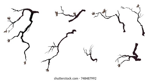 Hand drawn Cherry branches with flowers,Black and white Coloring book.Sakura plant  silhouette on white background.