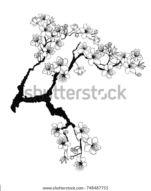 白黒の塗り絵本 手描きの桜の枝と花 白い背景に桜の植物のシルエット