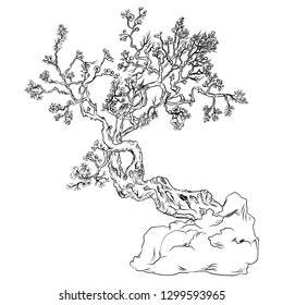 Hand drawn Cherry branches with flowers,Sakura tree and Japanese flower.Hand drawn isolate cherry blossom flower of Japan.Outline and silhouette peach blossom.