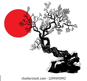 Hand drawn Cherry branches with flowers,Sakura tree and Japanese flower.Hand drawn isolate cherry blossom flower of Japan.Outline and silhouette peach blossom.