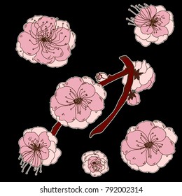  Hand drawn Cherry branches with Peach flowers, Coloring book sakura Tree isolate on white background.Cherry blossom Japanese style.