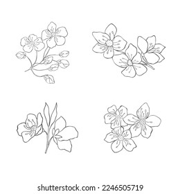 Hand drawn Cherry Branches. Sakura Blossom Elements. Vector.