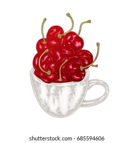 Hand drawn cherry in coffee cup vector illustration. Fruit sketch isolated on white background