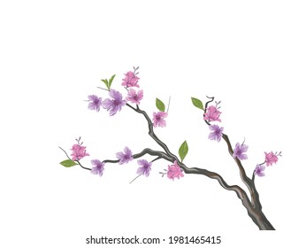 Hand drawn cherry flower tree vector isolated