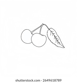 Fruto de cereza dibujado a mano con tallo y hojas. Vector de cereza