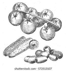 Hand drawn cherry potatoes, cucumbers, olives. Vegetables.