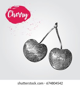 Hand drawn cherry sketch isolated on white background. Berries sketch elements vector illustration.