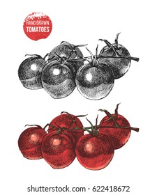 Hand drawn cherry tomatoes isolated on white background. Black and white and colorful illustrations
