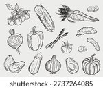 Hand drawn cherry tomatoes, lettuce, carrot, onion rings, bell pepper, asparagus, cucumber slices, avocado, eggplant, and pumpkin. Vector sketch illustration in vintage doodle crayon charcoal style
