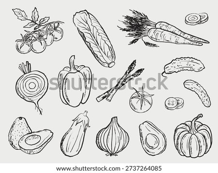 Hand drawn cherry tomatoes, lettuce, carrot, onion rings, bell pepper, asparagus, cucumber slices, avocado, eggplant, and pumpkin. Vector sketch illustration in vintage doodle crayon charcoal style