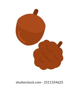 Hand drawn chestnut for Autumn