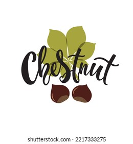 Hand drawn chestnut icon. Vector illustration with handwritten text for brochures, banner, restaurant menu, farmers market. Modern brush ink calligraphy, hand lettering typography. Logo concept design