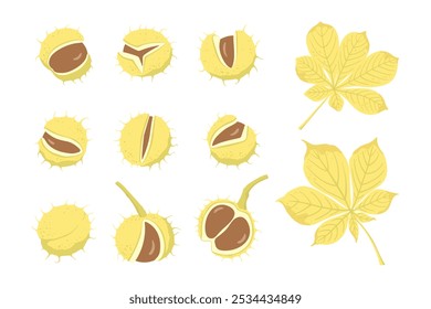 Hand drawn chestnuts and leaves set