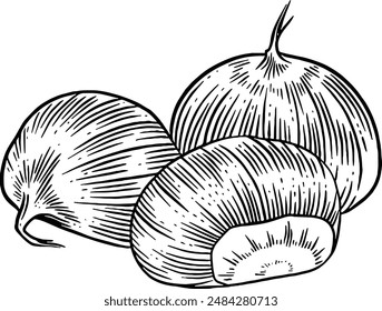 Hand drawn Chestnuts Sketch Illustration