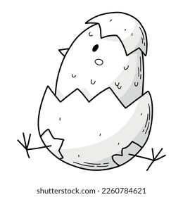 hand drawn chick, baby chicken hatching the egg. Easter drawing, kids coloring page, print, card, sublimation, preschool activity, printable. EPS 10