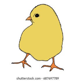 Hand drawn chicken