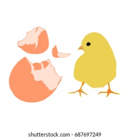 Hand drawn chicken with broken egg