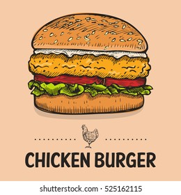 Hand Drawn Chicken Burger, vector