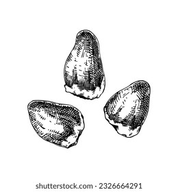 Handgezeichnete Hühnerherzen Skizzen Set. Innere Organe von Geflügelzeichnungen. Gesunde Lebensmittel, Vektorgrafiken auf weißem Hintergrund. Geflügelfleisch, Schlachtnebenerzeugnisse, Zutaten, Fleischereidesign-Elemente.