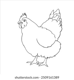 Handgezeichnete Huhn Röster Zeichnung Illustration