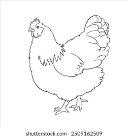 Handgezeichnete Huhn Röster Zeichnung Illustration