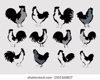 Hand drawn chicken, hen, rooster, cock illustration character in black and white vintage style vector. Isolated on white background.