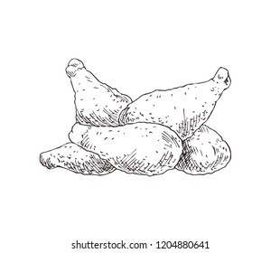 Hand drawn chicken wings vector monochrome illustration. Fast food badge sketch style for brochures and banner restaurant menu, cafe cover template