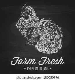 Hand Drawn Chickens Over Black Chalkboard -  Vintage Farm Fresh Label