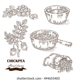 Hand drawn chickpea plant. Seeds, chickpea soup, sauce and sack with pea. Vector illustration