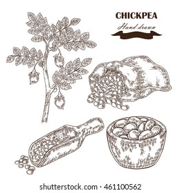 Hand drawn chickpea plant. Wooden scoop, sack and plate with pea. Vector illustration