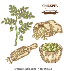 Hand drawn chickpea plant. Wooden scoop, sack and plate with pea. Vector illustration
