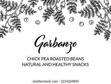 Hand drawn chickpeas botany background. Vector illustration in sketch style. Packaging design