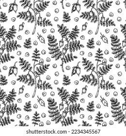 Hand drawn chickpeas seamless pattern. Vector illustration in sketch style