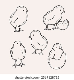 Hand drawn chicks collection. Whimsical illustration