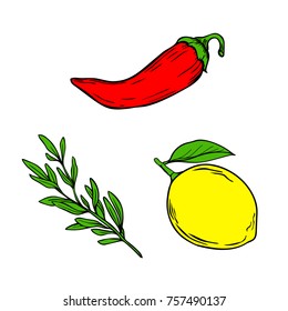 Hand drawn chili, lemon, rosmary. Set of ingridients for olive oil.