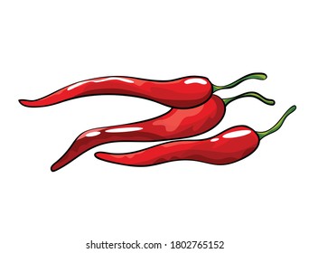 Hand drawn chili pepper. Isolated hot spicy mexican pepper on white background. Natural healthy food. Spicy ingredient