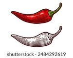 Hand Drawn Chili Pepper, Line Art Engraving Style Vector Illustration, Monochrome and Color Versions