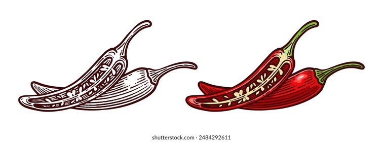 Hand Drawn Chili Pepper, Line Art Engraving Style Vector Illustration, Monochrome and Color Versions